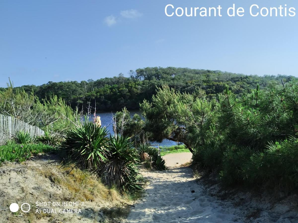 Chalet Camping Les Vignes 利和米克斯 外观 照片
