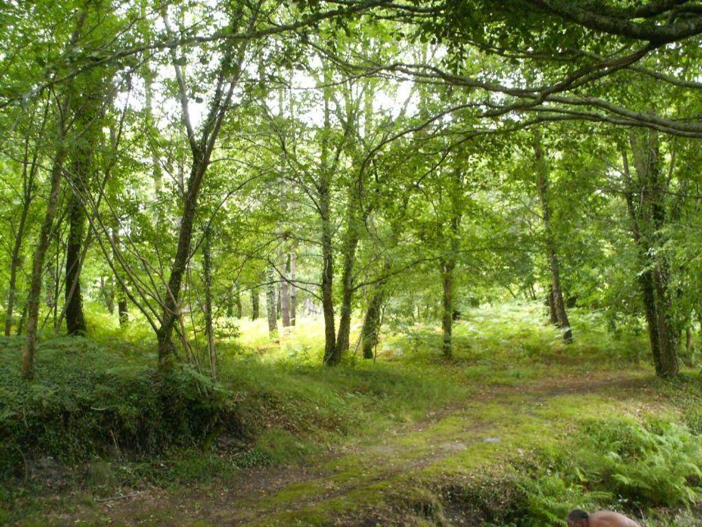 Chalet Camping Les Vignes 利和米克斯 外观 照片