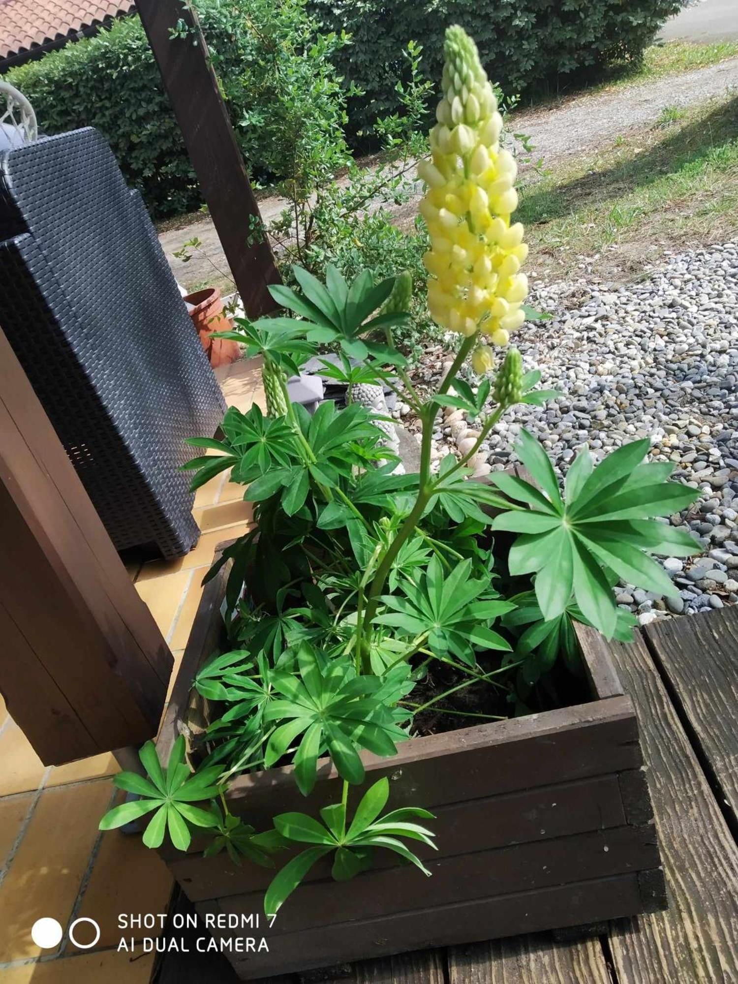 Chalet Camping Les Vignes 利和米克斯 外观 照片